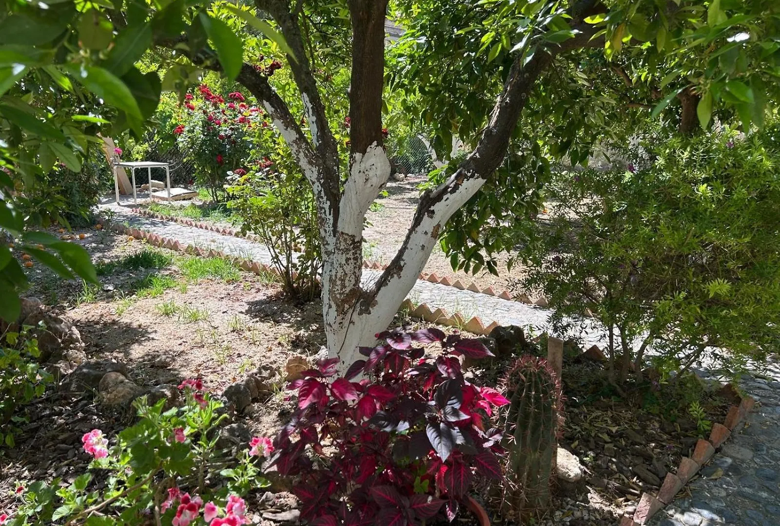 La Despensa Del Valle Restabal