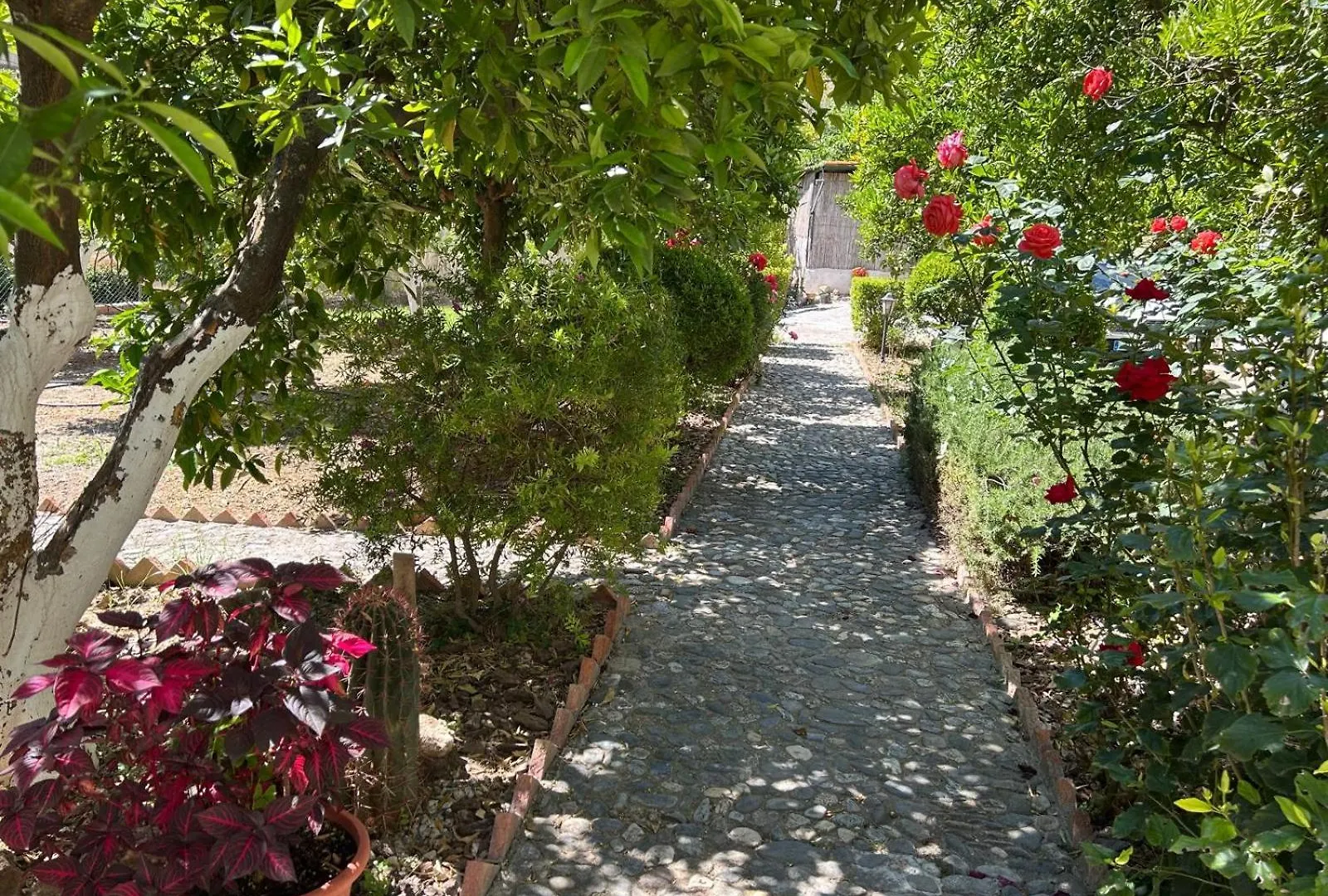 La Despensa Del Valle Restabal Hotel